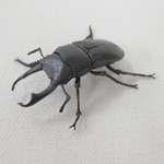 コクワガタ 自在置物