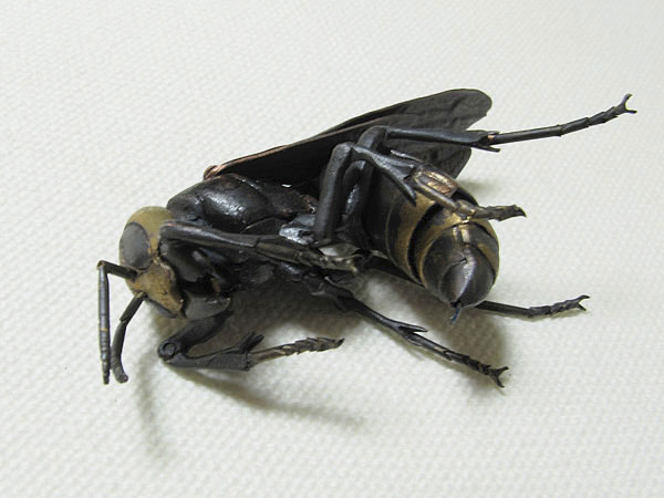 Jizai Japanese giant hornet